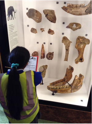 Year 3 Stone Age Redbridge Museum Trip